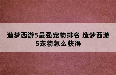 造梦西游5最强宠物排名 造梦西游5宠物怎么获得